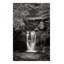 Elakala Falls West II BW-1390618771-1405323852-1405323864