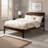  Fitzsimmons Solid Wood Sleigh Platform Bed-1967085053-1967085051