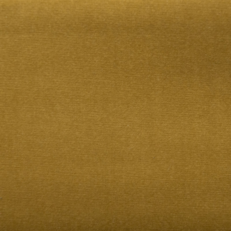Tissu Sahara, Lion
