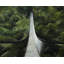 Napperon Modern Modern Décoration forêt pont