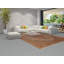 Tapis traditionnel pré-1900 9 x 13