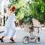 Foldable Pet Stroller-94343646