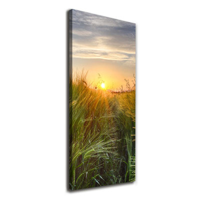 Wheat Field - Wrapped Canvas Print