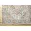 Oriental Indoor Rug-1846578335