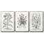 Ensemble de 3 pièces encadrées sur toile noir et blanc-97760358-97760359