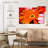 Dewy Orange Daisy-1575432138