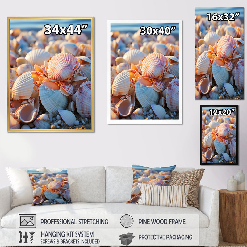 «Beach Photo Sunlit Shells I», reproduction sur toile, L 12 po x H 20 po, Toile tendue