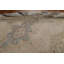 Tapis traditionnel délavé à motif floral 7 x 10