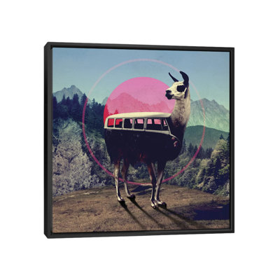 «Llama», impression sur toile tendue