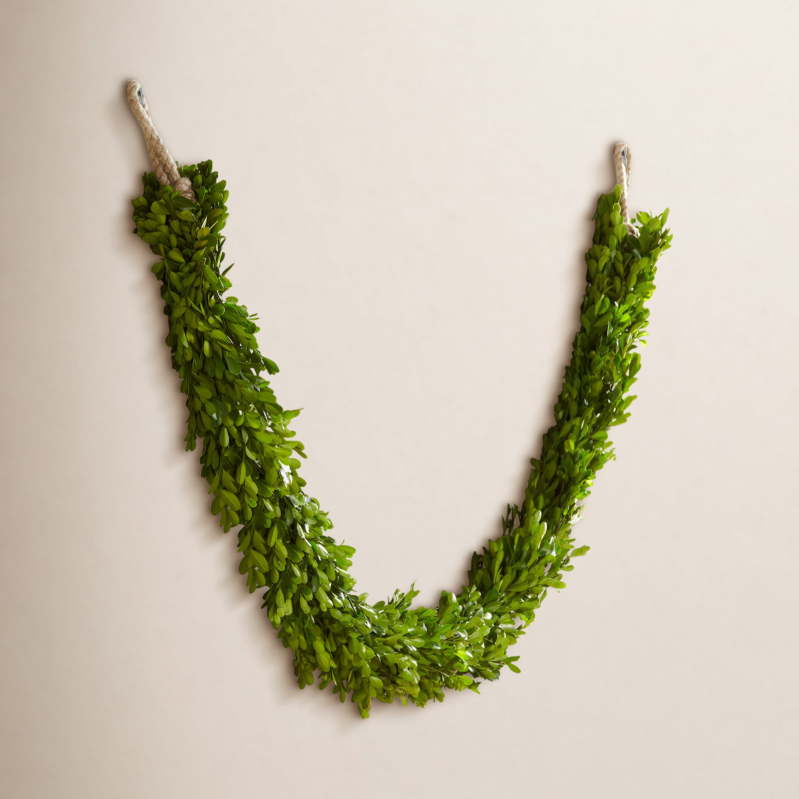 71'' in. Preserved Boxwood Garland