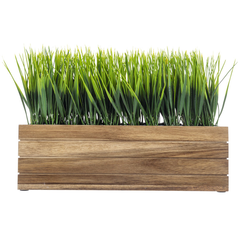 25 cm H Faux Onion Grass Plant