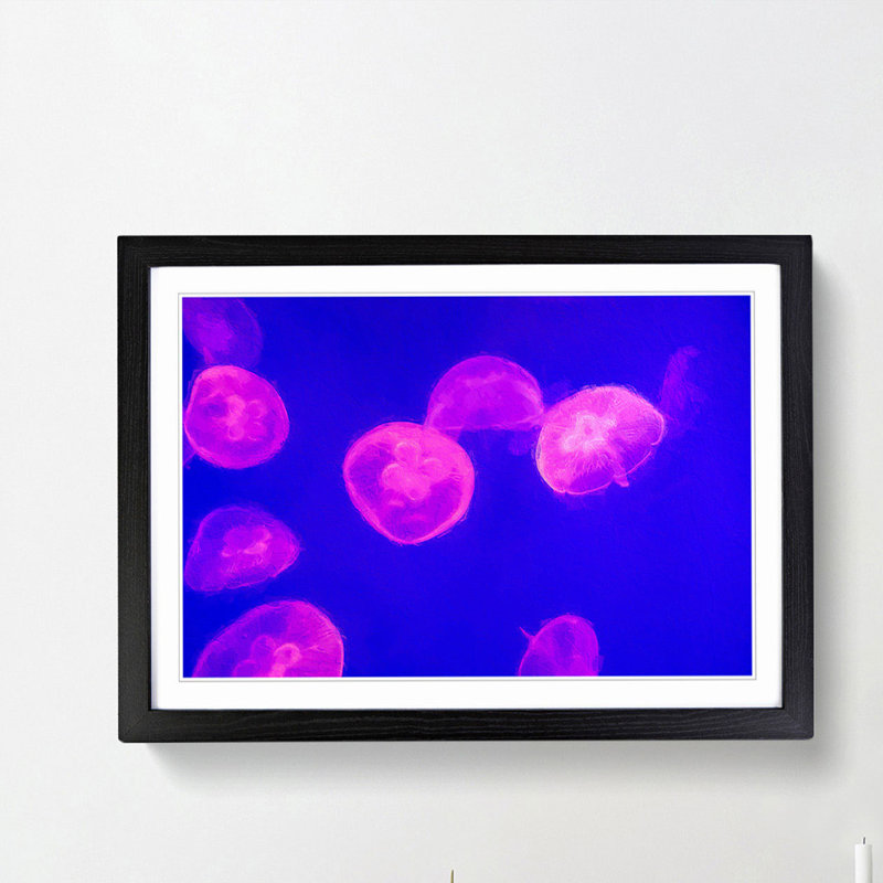 Pink Jellyfish - Picture Frame Painting Print, 48cm H x 65cm W x 2cm D, Black Framed