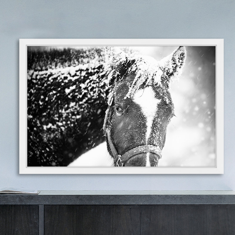 Cadre photo « white cheval mask », impression sur papier, 20 po x 30 p, Cadre blanc