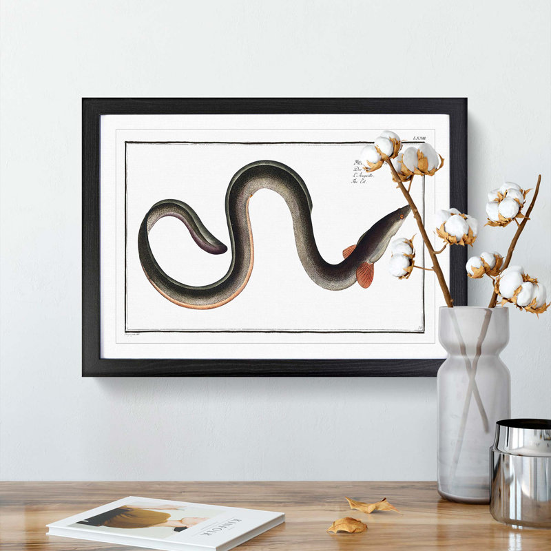 Eel by M.E. Bloch - Framed Print, 27cm H x 36cm W x 2cm D, Black Framed