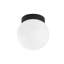 Idora Single Light Glass Dimmable Flush Mounted Sconce-1834751618
