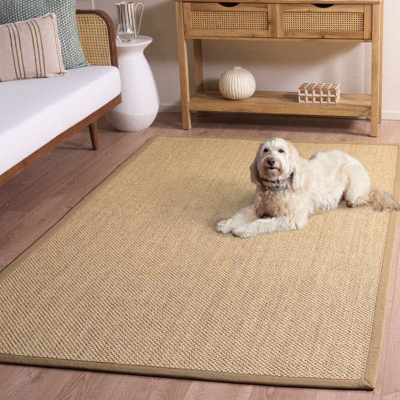 Tapis en fibre de sisal Benevides, Rectangle de 5 pi x 8 pi