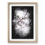 Branch of a White Cherry Blossom Tree - Framed Print-56842861-56842866