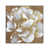 White Framed Canvas
