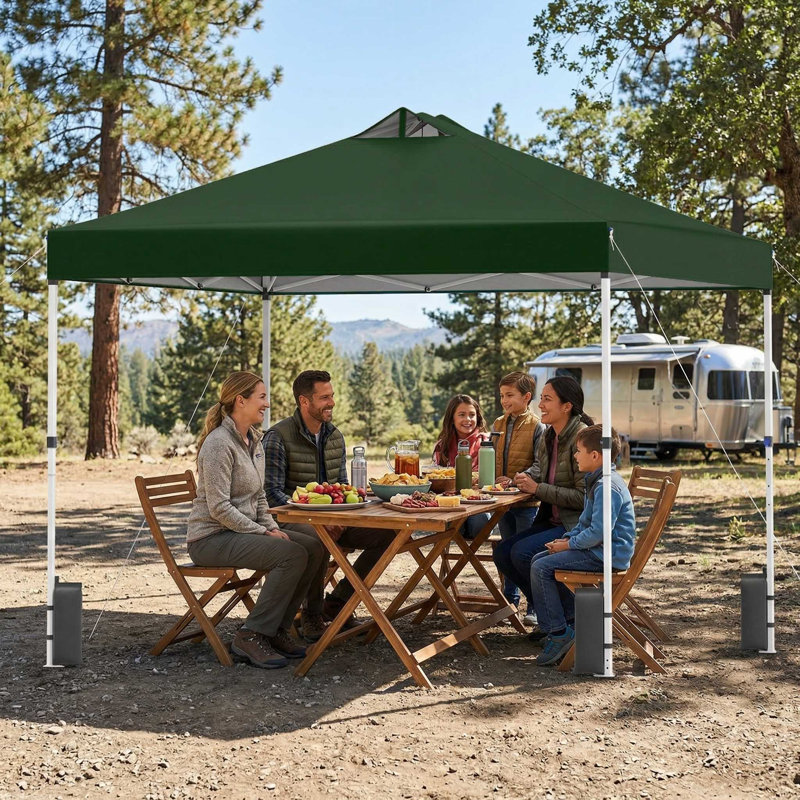 Tente de pavillon escamotable extérieure durable et facile à installer de 10 pi x 10 pi pour une utilisation lors d'une fête dans la cour