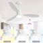 Ventilateur de plafond à pales en bois 52 lumières DEL 52 pouces avec ensemble d'éclairage et télécommande 6 vitesses-306823986-306823999