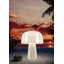 La lampe Boleti