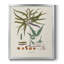 Toile encadrée de qualité supérieure Botanical Society-357701212-357701202