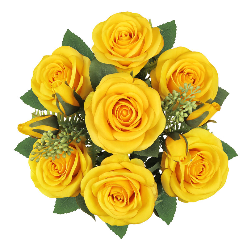 Rosier, Jaune