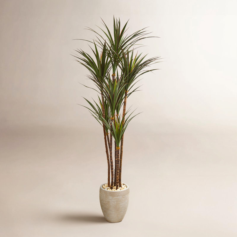 68in. Giant Yucca Artificial Tree in Planter UV Resistant (Indoor/Outdoor)