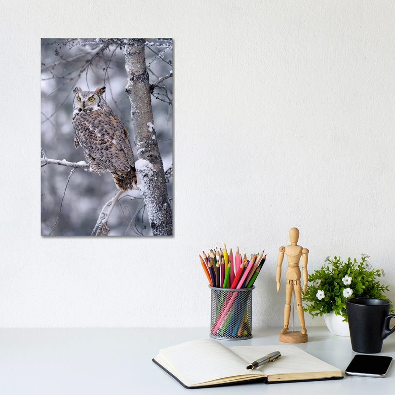 Great Horned Owl Perched In Tree Dusted With Snow by Tim Fitzharris - Wrapped Canvas Print, 20.32 cm H x 30.48 cm W