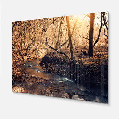 " Brown Creek In National Park "
