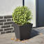 Asua Metal Planter Box-1391832535-1391832529
