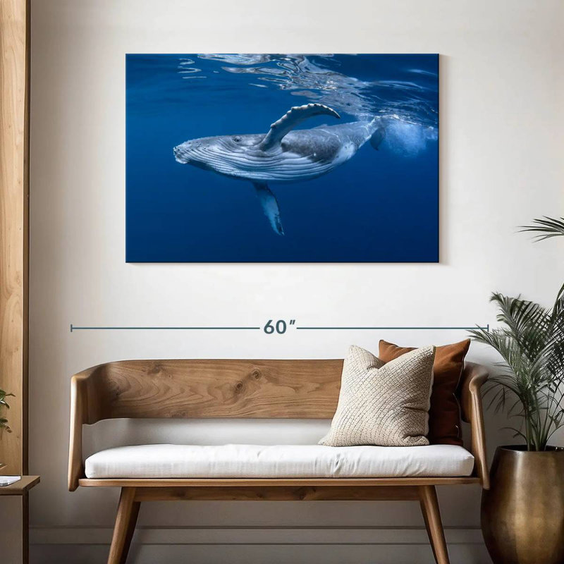 Brampt Baby Humpback Whale, 30" H x 45" W