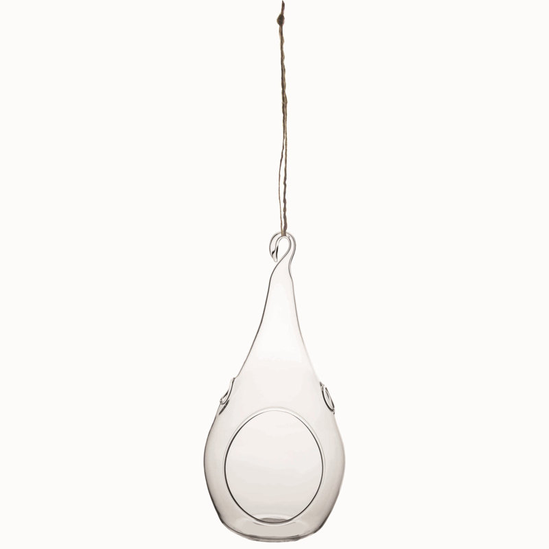 Terrarium suspendu en forme de larme