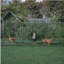 Cage à poulailler avec poulailler 10 x 3 pi-1154036407