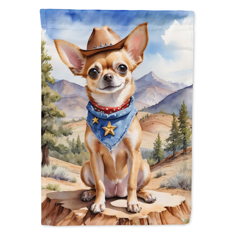 Drapeau Cowboy Welcome House, Chihuahua