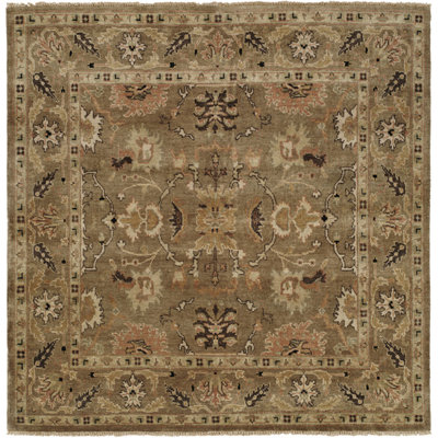 Wool Oriental Area Rug in Brown