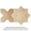 Carreau de sol mural en porcelaine à motif d'étoile et de croix Tech Land Star & Cross Fire 6 po x 12 po