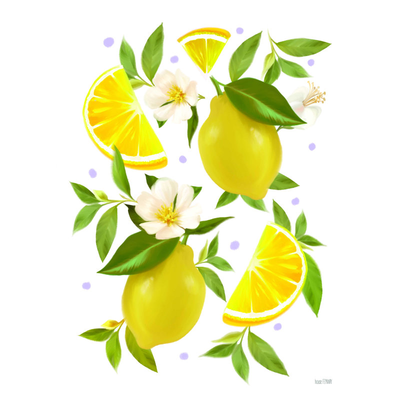 «Citrus Lemon Botanical» par House Fenway - impression sur toile tendue, H 40 po x l 30 po