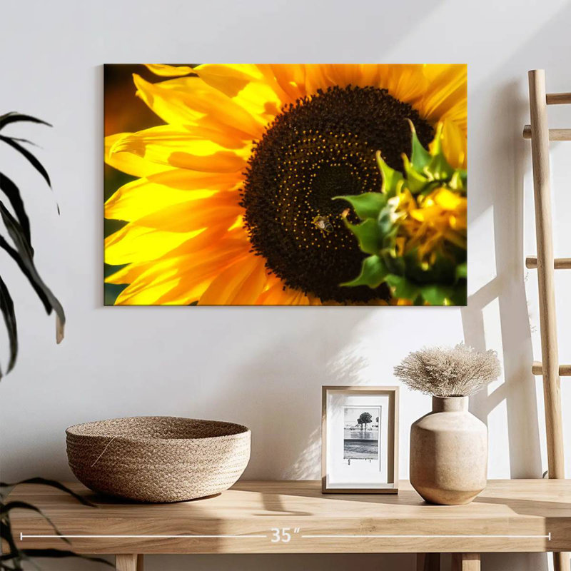 Harnek magnifique tournesol, H 20 po x l 30 po