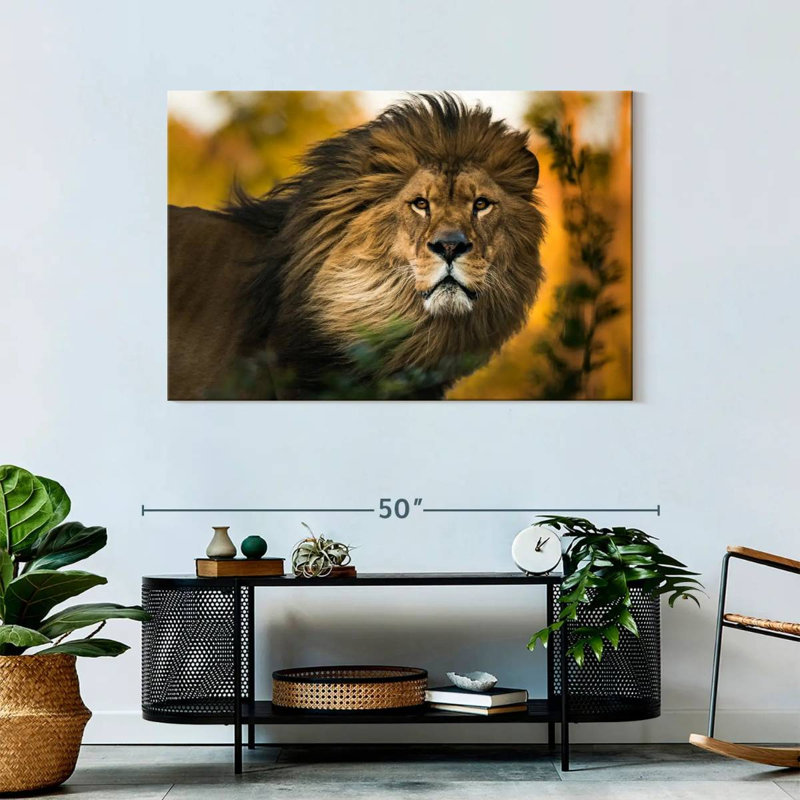 Brampt Lion Head Splendor, 30" H x 45" W
