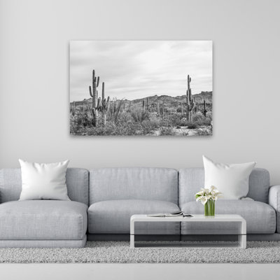Jardin Sonoran Wonderland BW