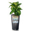 Lechuza Cilindro Color Self-watering Planter with Drainage Hole and Water Level Indicator-26992039-26992037