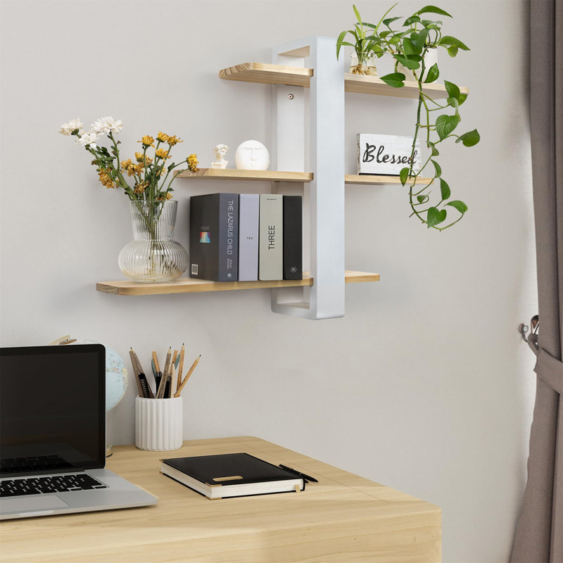 58cm H x 50cm W Standard Bookcase