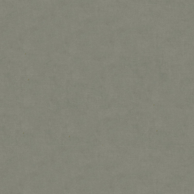 Solid Velvet Fabric, Gray