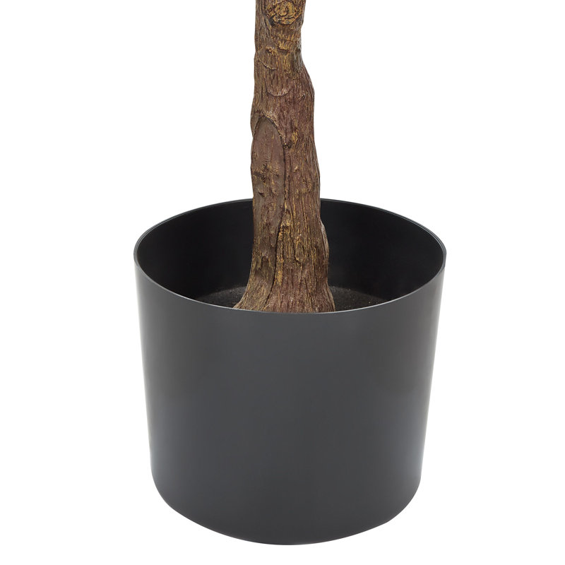 160cm Faux Ficus Plant in Planter