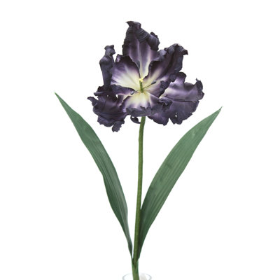 Tiges de tulipes