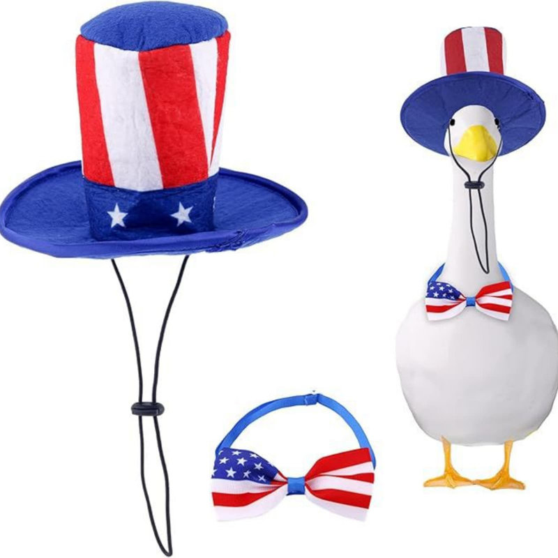 Anniversary Independence Day