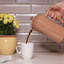 Frieling 34 oz - French Press Coffee Maker-1765021589