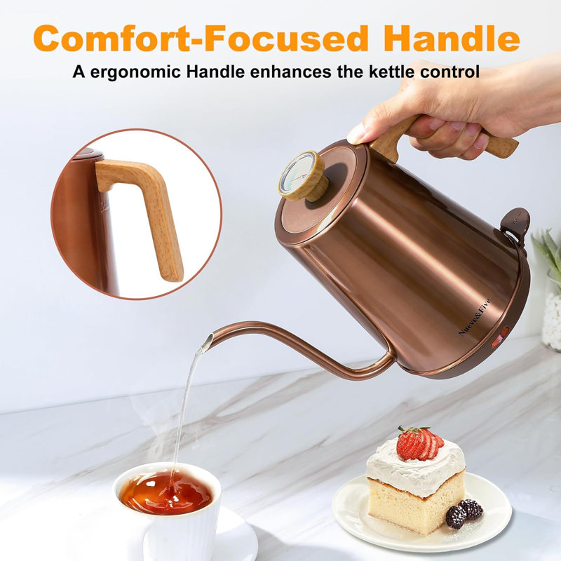 Basowin Gooseneck Electric Kettle(1.0L),1000W Electric Tea Kettle Of 304 Stainless Steel,Auto Shut Off,Coffee Kettle For Pour Over And Tea