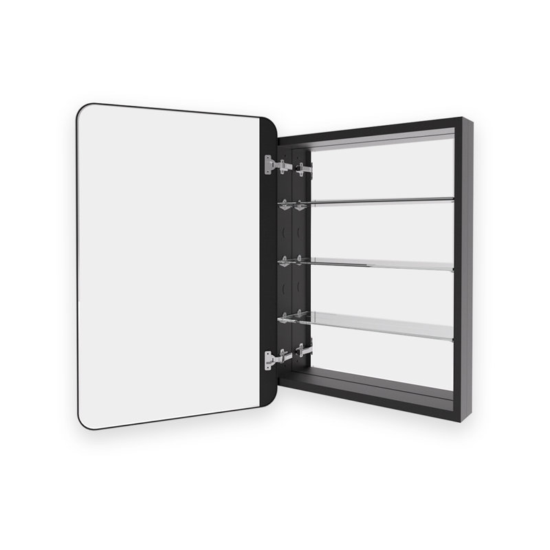 Haddington 23 in. W x 30 in. H Rectangular Framed Recessed/Surface Mount Medicine Cabinet With Mirror In in Matte Black